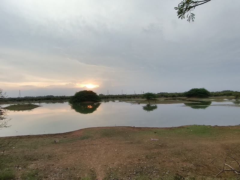 Koonthankulam Bird Sanctuary