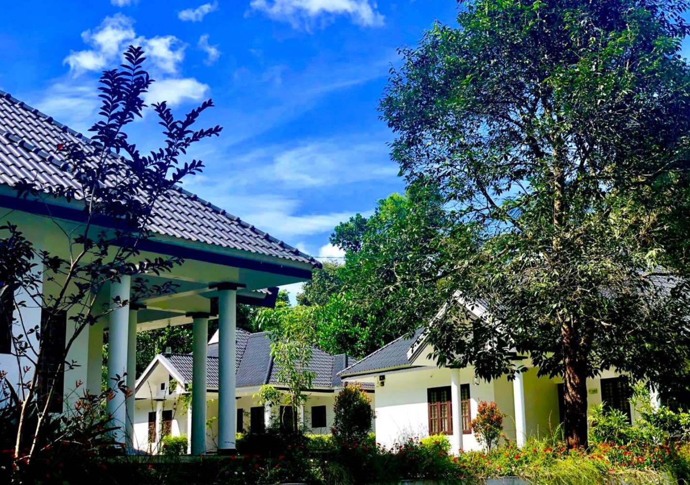 Property gallery image 8