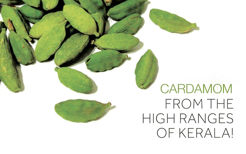 Highrange Spice Garden