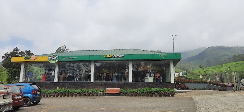 Kannan Devan Hills (Tea Gardens)