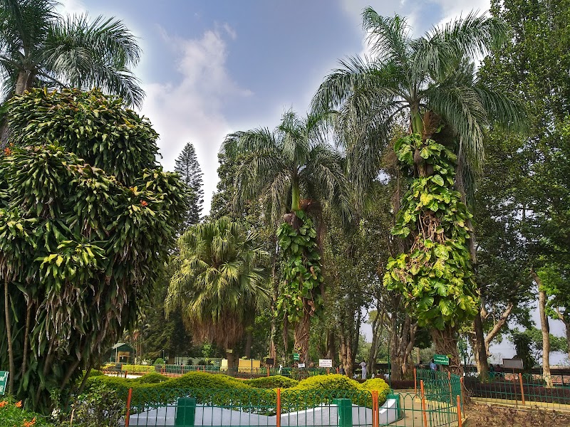 Anna Park
