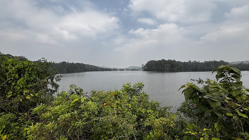 Thattekere Lake View Point