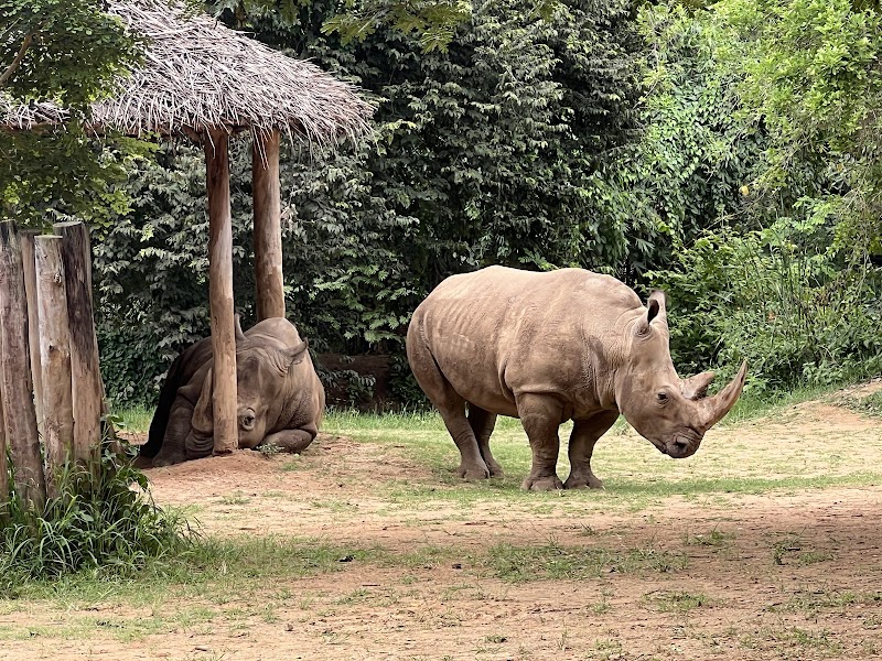 Mysore Zoo