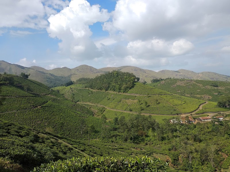 Kottakamboor Tea Estates
