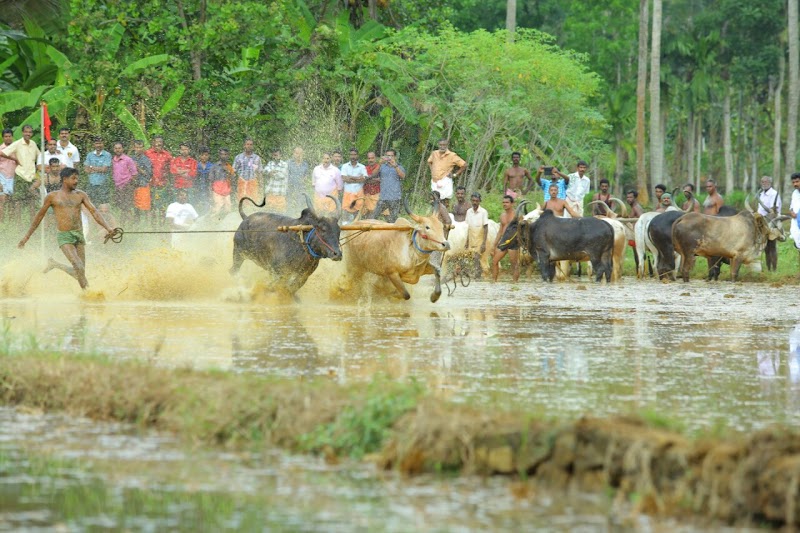 Kakkoor Village