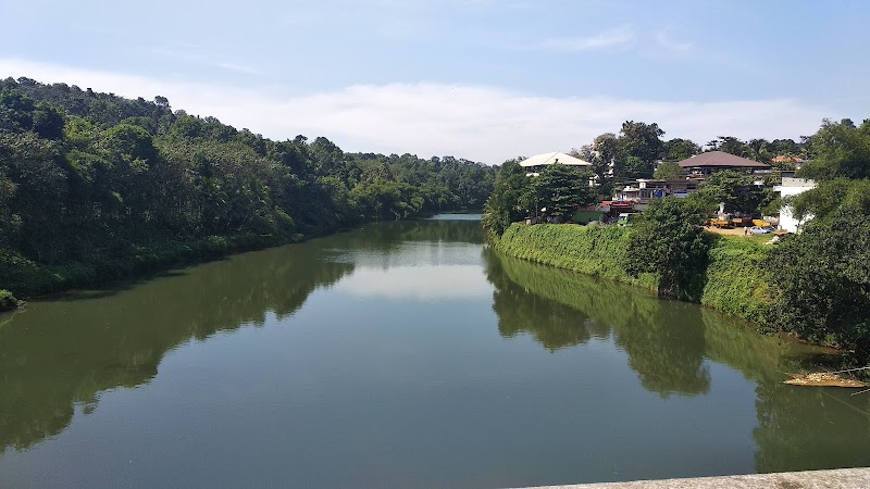 Manimala River