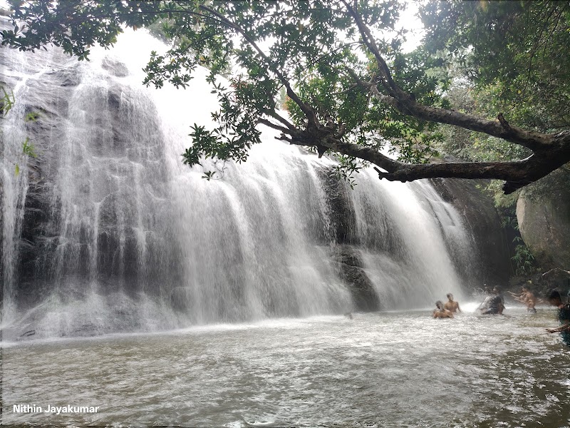 Anayadikuthu Waterfalls