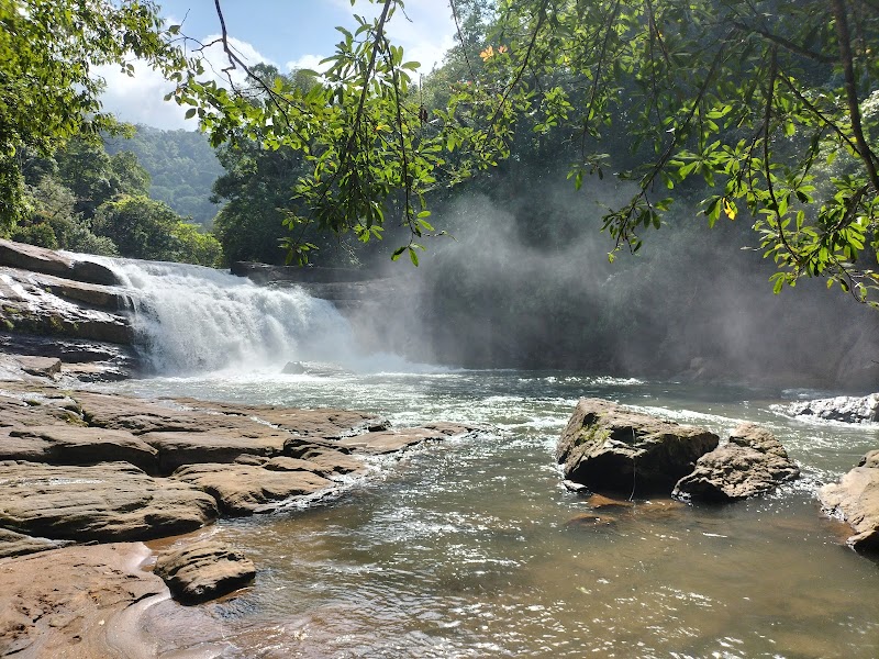 Thommankuthu Waterfall