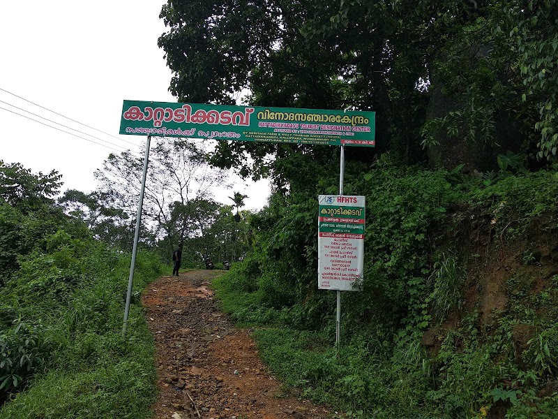 Kattadikadavu View Point