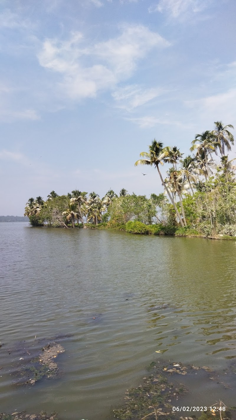Kuzhupilly Backwaters