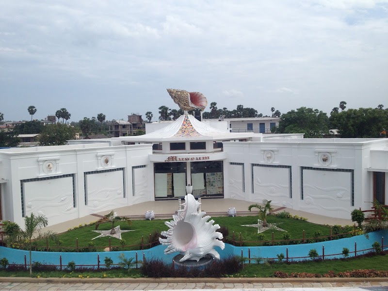 Seashell Museum
