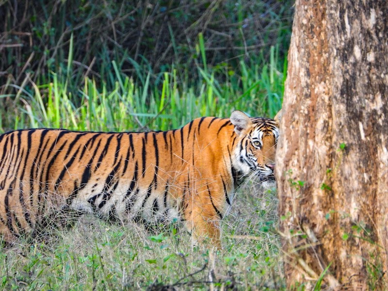 Nagarhole National Park