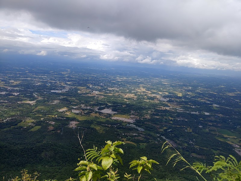 Nelliampathi Viewpoint