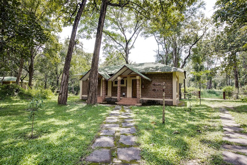 Dubare Elephant Camp