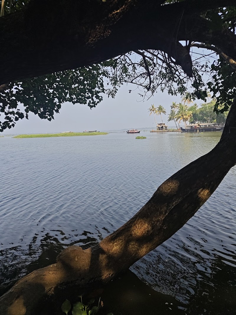 Kumarakom Bird Sanctuary