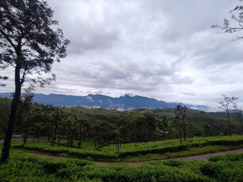 Neelakurinji View Point