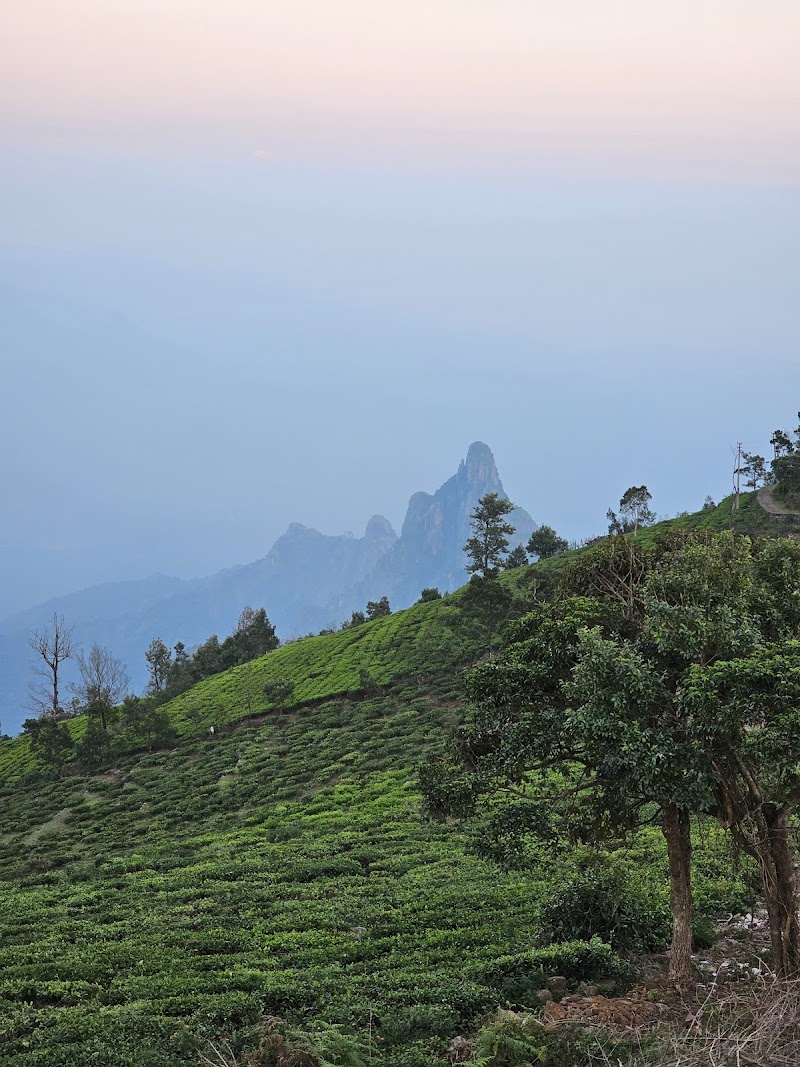 Rangaswamy Peak and Pillar
