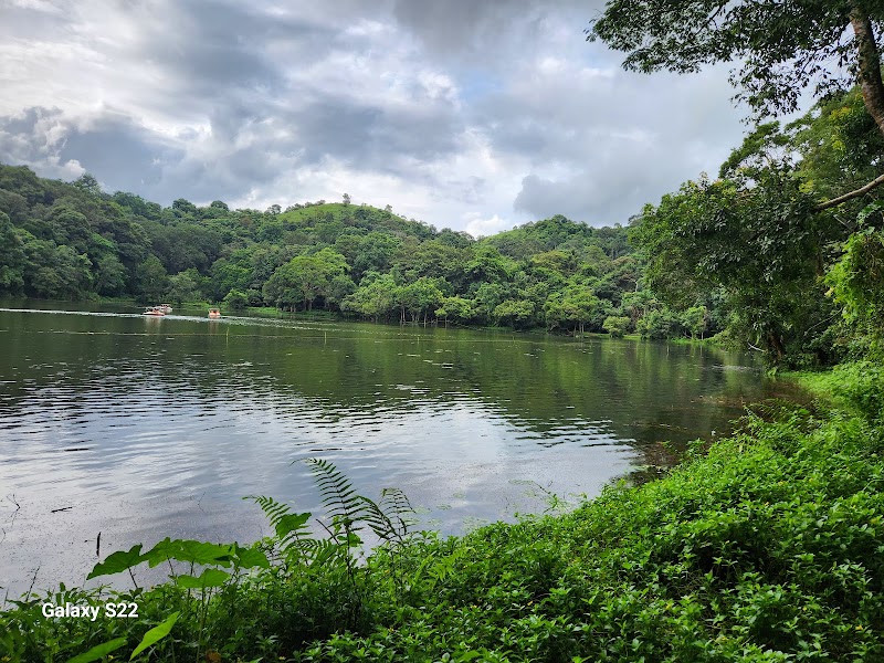 Pookode Lake