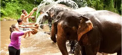 Dubare Elephant Bathing Spot