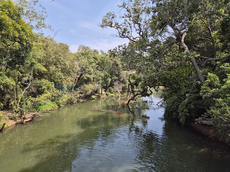 Nisargadhama Forest