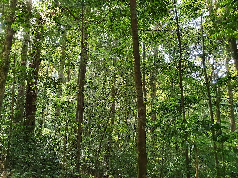 Pushpagiri Wildlife Sanctuary