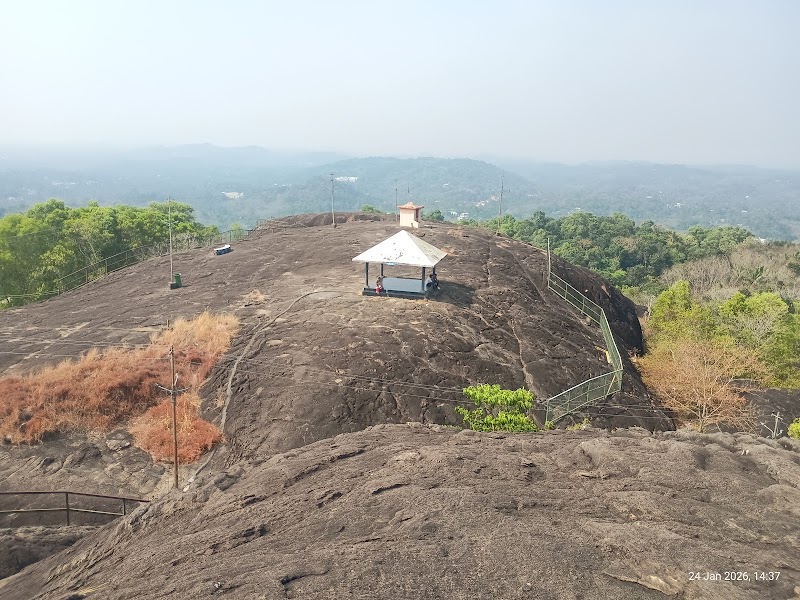Sasthampara & 15-Acre Organic Farm