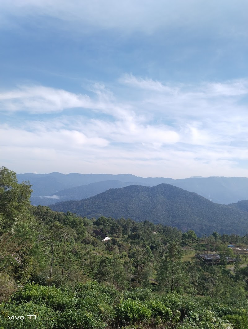 Ponmudi Hill Top