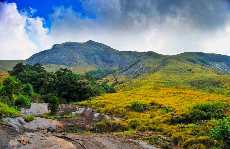 Eravikulam National Park & Rajamala Hills