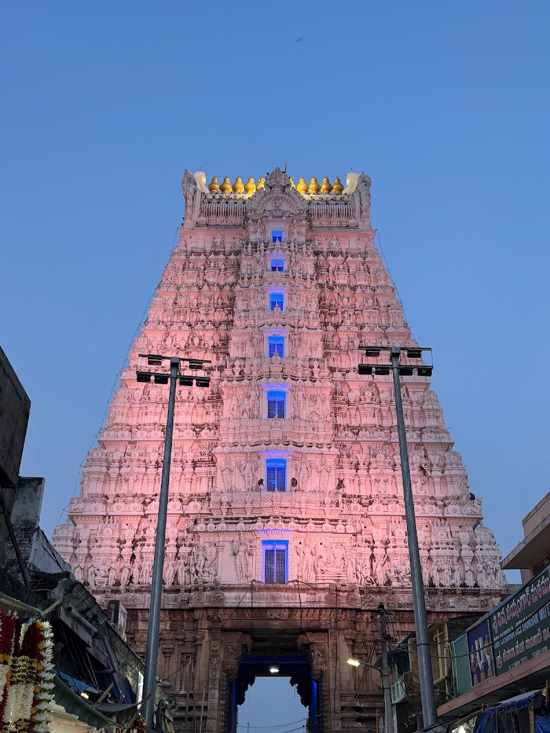 Sri Govindarajaswamy Temple