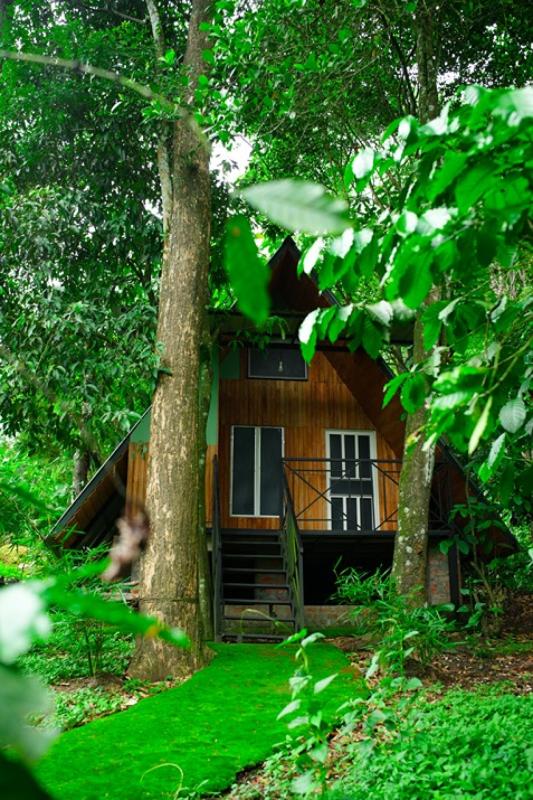 A Frame Cabin