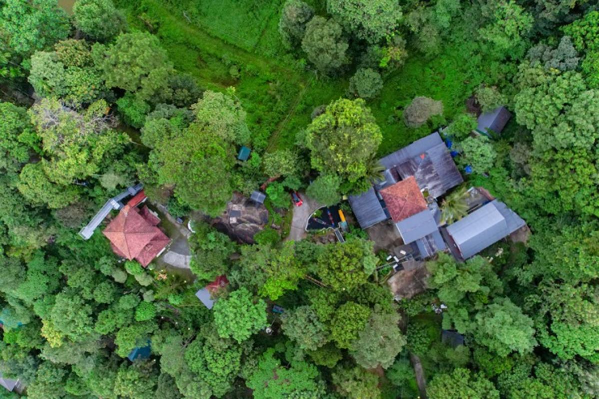 Copy of DJI_0049 copy