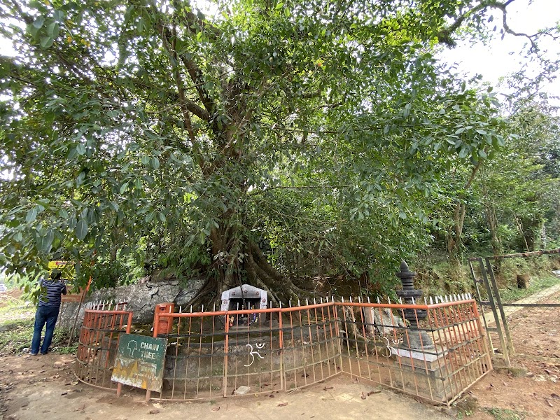 Chain Tree