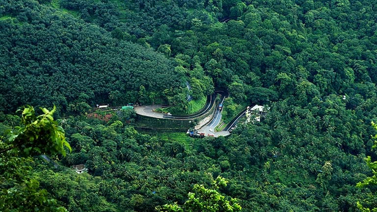 Escape Bengaluru's Traffic: The Ultimate Weekend Guide to Wayanad (With an Exclusive 20% Monsoon Offer)