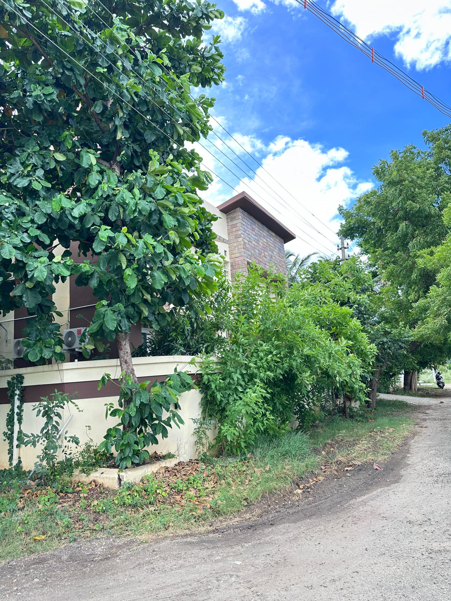 Property gallery image 3