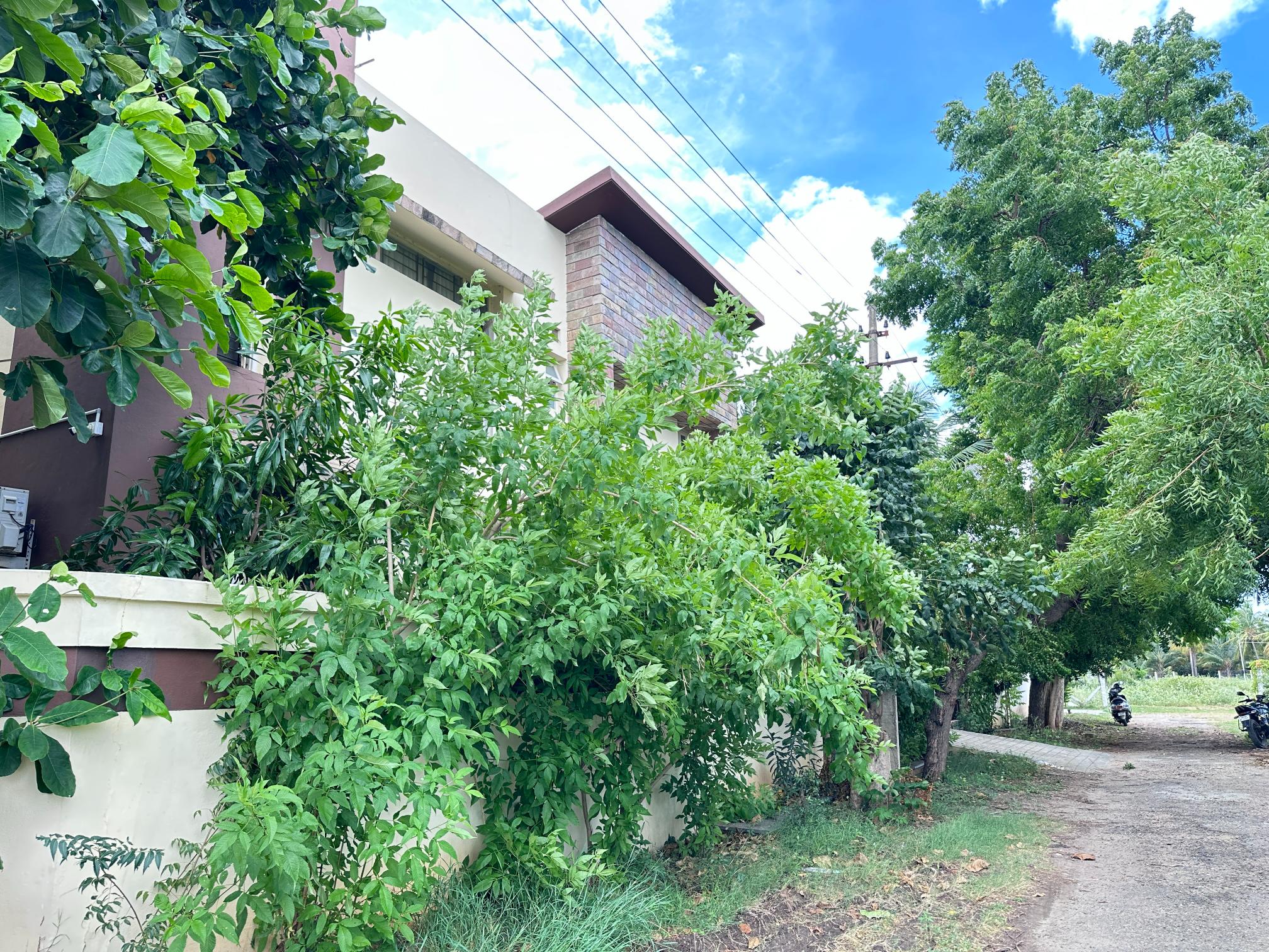 Property gallery image 4