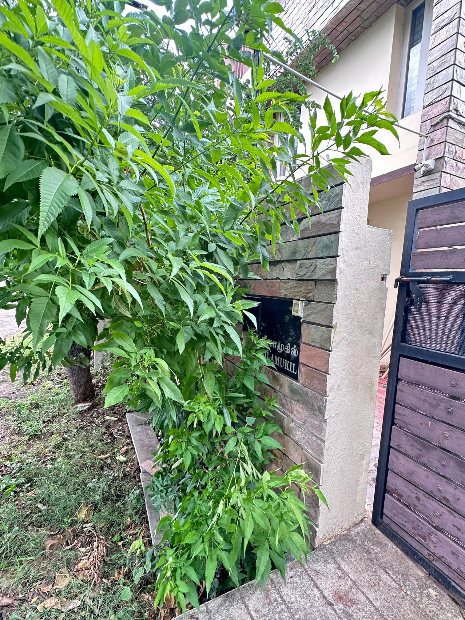 Property gallery image 6