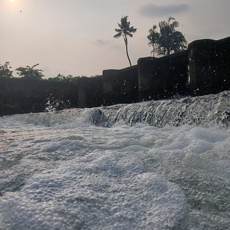 Thrikkariyoor Checkdam