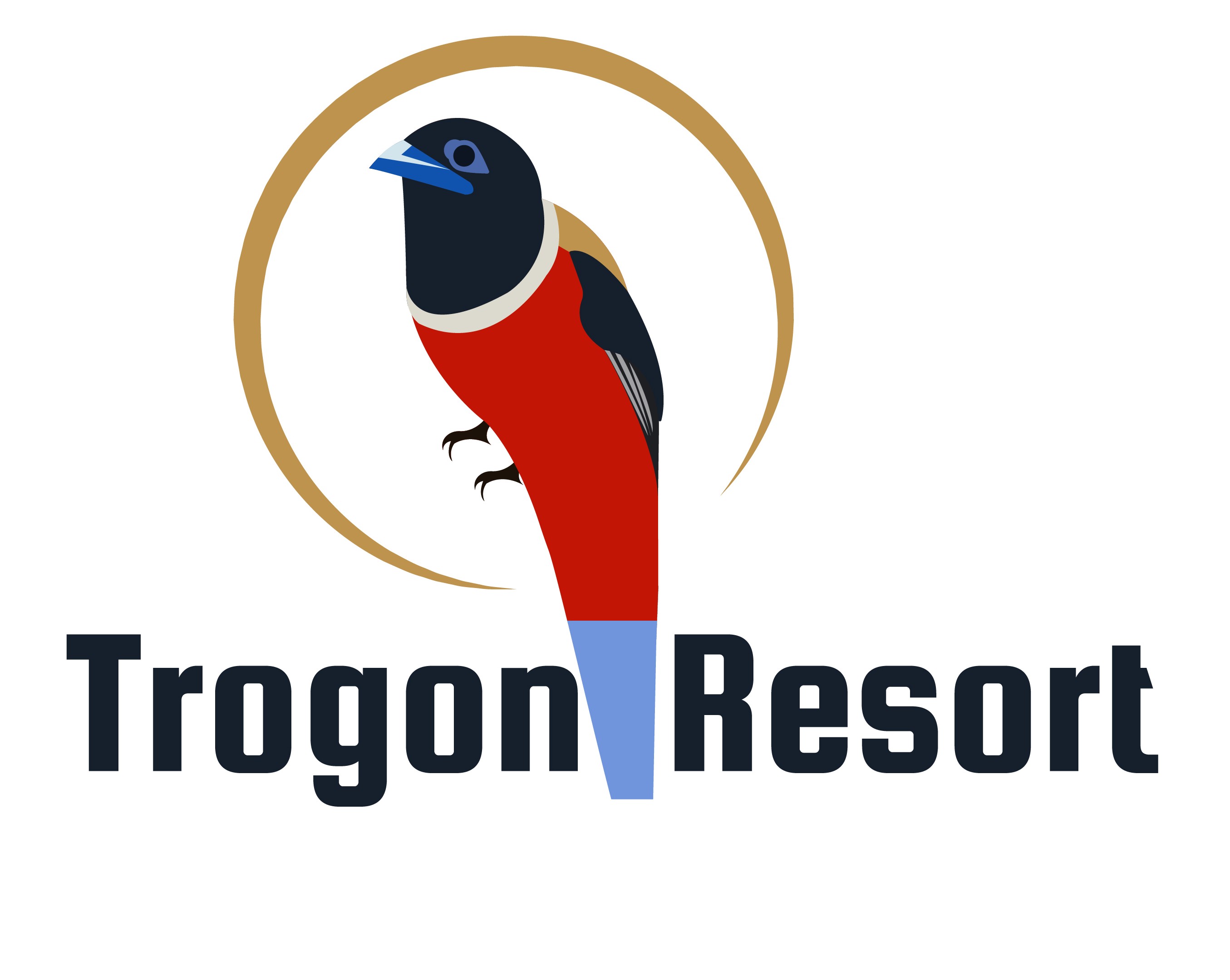 Website Logo
