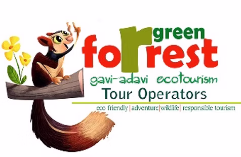 Website Logo