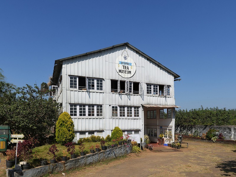 Tea Factory Museum